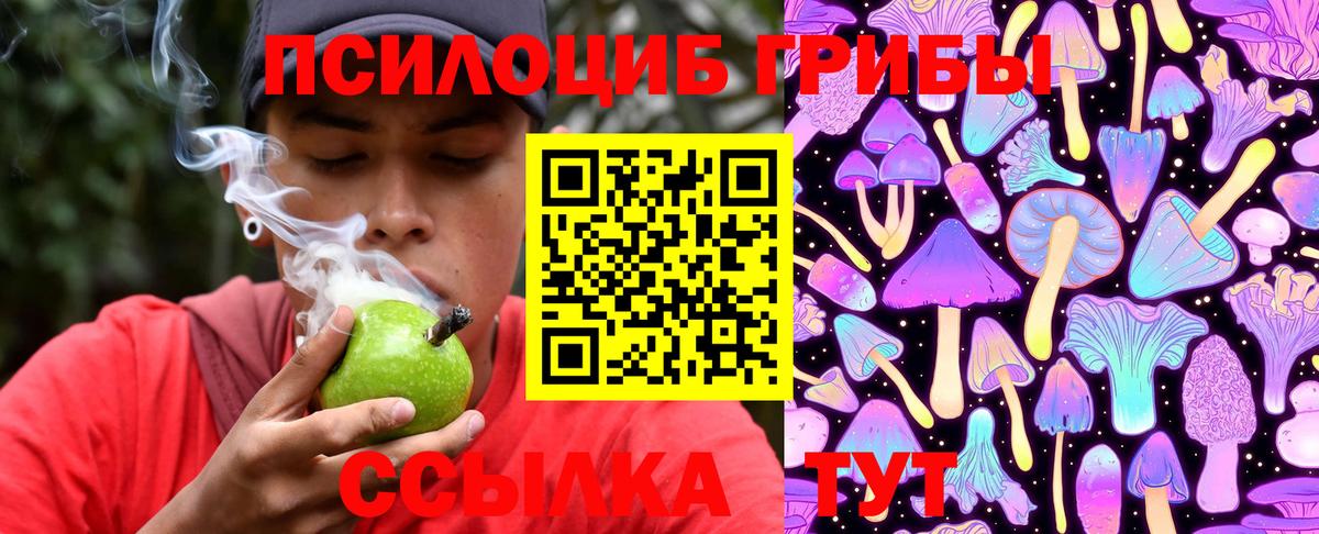 Псилоцибиновые грибы Psilocybine cubensis  где купить наркоту  Зеленодольск  Вход с VPN  Галлюциногенные грибы Psilocybine cubensis 